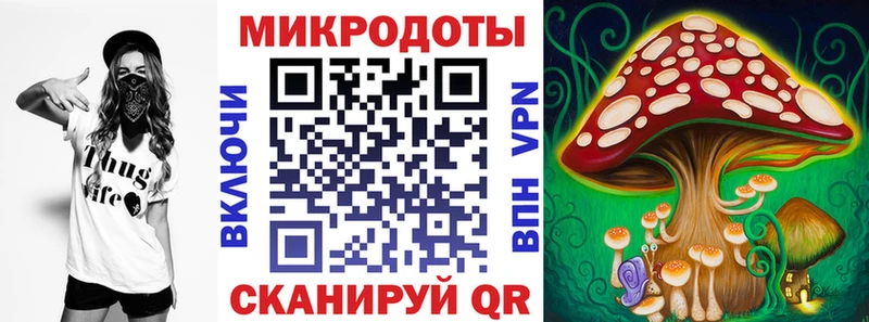 Псилоцибиновые грибы ЛСД  ссылка на мегу tor  Нижнеудинск 