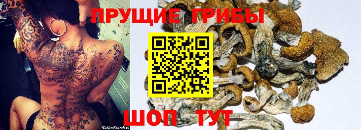 где найти   Вход с VPN  Нижнеудинск  Псилоцибиновые грибы MAGIC MUSHROOMS 