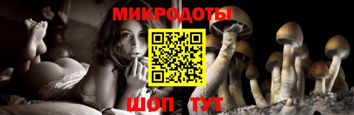 Псилоцибиновые грибы ЛСД Нижнеудинск