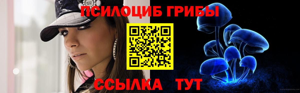 Псилоцибиновые грибы прущие грибы  Нижнеудинск 
